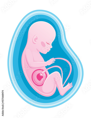 Happy Fetus in Blue Uterus Illustration
