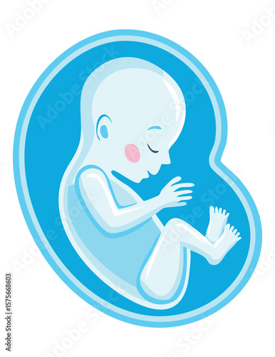 Blue Fetus Curled Up in Womb Art