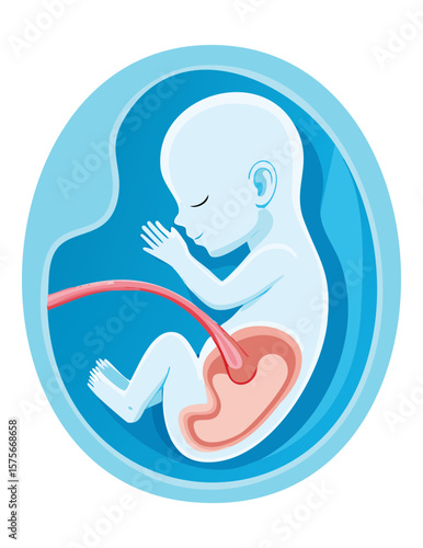 Sleeping Blue Fetus in Womb Illustration