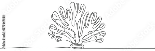Abstract continuous line drawing of a branching coral on a white background