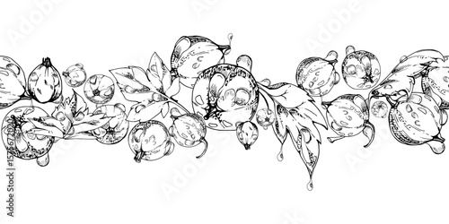 Currant gooseberry, leaves in water dew drops hand drawn in vector ink, scattered ripe garden berry. Seamless isolated banner garland. Home preserves, textile catalog, food store decor, recipe book