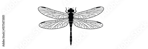 Stylized black silhouette of a dragonfly with detailed wings on a white background