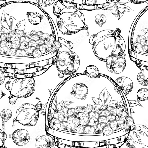Currant gooseberry in clusters, leaves in weaved basket, hand drawn in vector ink, ripe picked berry harvest, casseille jostaberry. Isolated seamless pattern. Scrapbooking, washi tape, cover design