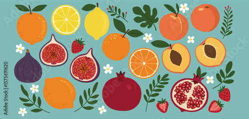 "Colorful Assorted Fruits Illustration – Citrus, Berries, Figs, and Pomegranate Vector Design"