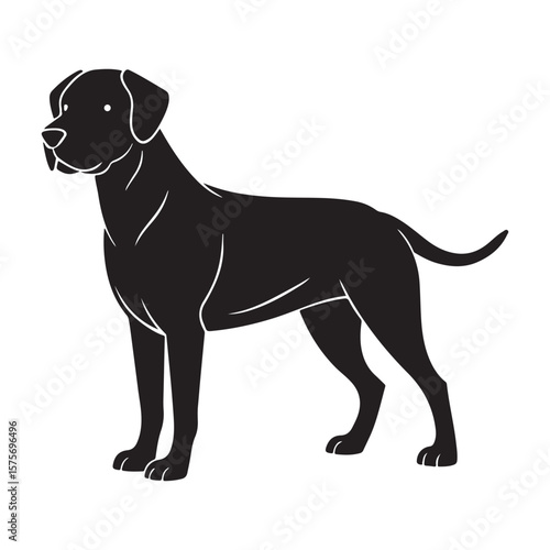 Black dog standing profile view canine animal