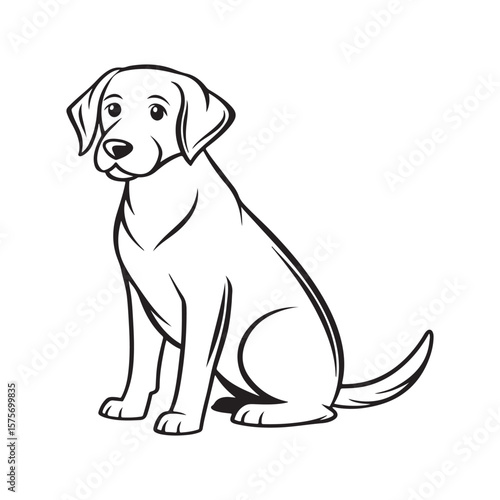 Labrador Retriever Sitting Calmly animal