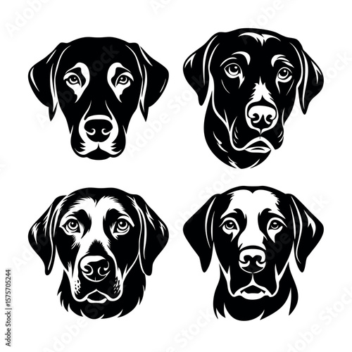 Labrador Retriever Portraits: A collection of striking black and white Labrador retriever portraits. Capturing the breed's gentle yet expressive features. 