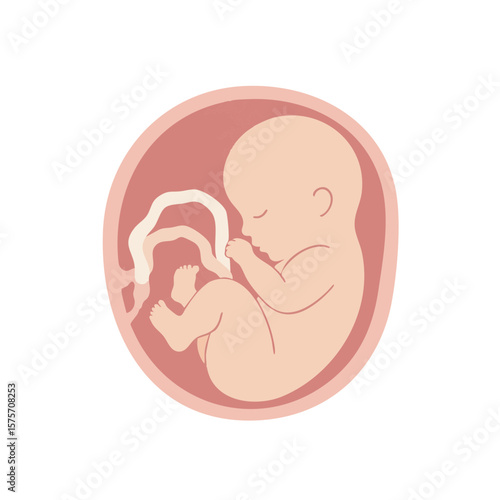 Fetus Floating in Amniotic Sac Flat Vector Isolated