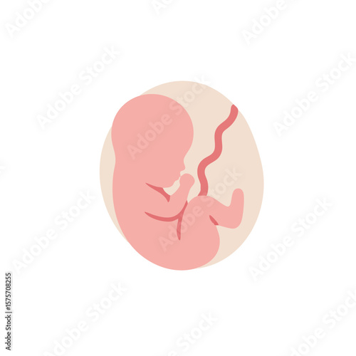 Fetus Floating in Amniotic Sac Flat Vector Isolated
