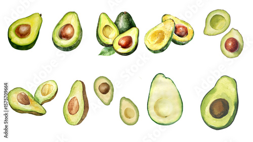vector illustration of a avocado in watercolor style