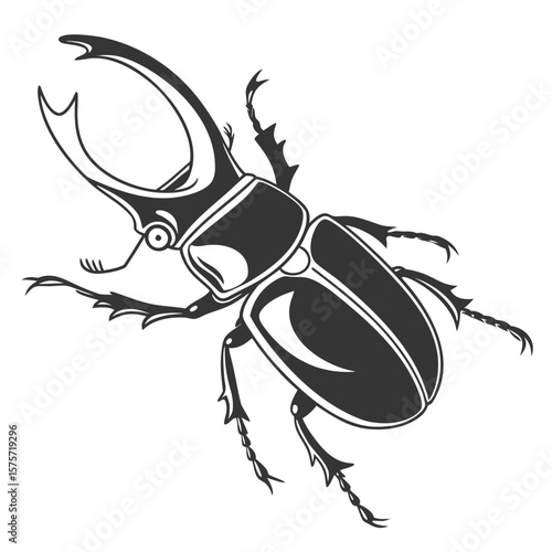 vector illustration of a black beetle