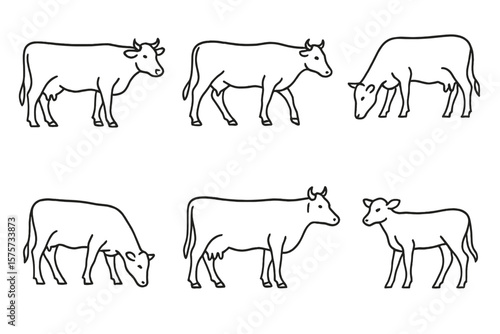 Multiple line drawings of cows in various positions showcasing their movements and feeding habits on a white background