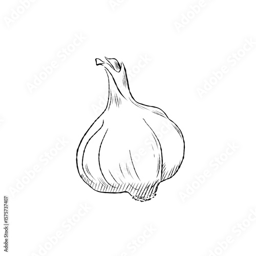 Hand drawn vector cartoon o...