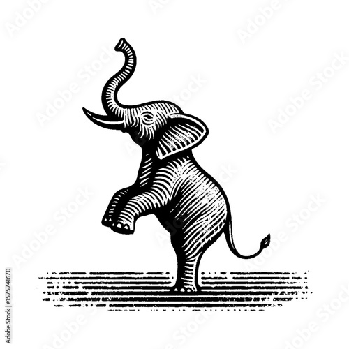 Majestic Elephant Standing on Hind Legs with Trunk Up Black and White Outline Line Art Drawing Classic Vintage Engraving Style Isolated