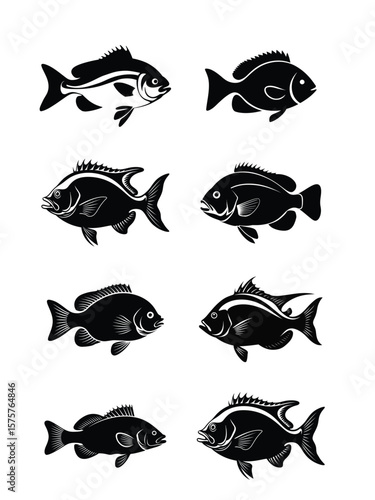 Fish Illustration Set for Fishing T-Shirt Design and Marine Artwork