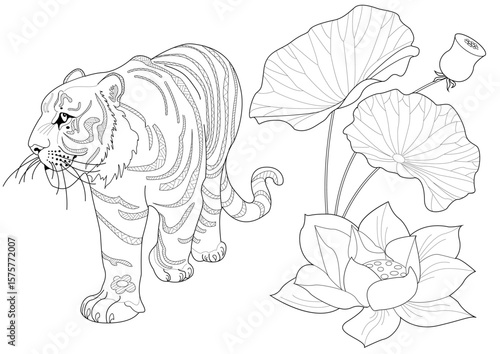 Coloring for art therapy. Animals and flowers of Asia. A calming and educational journey around the world with a collection of coloring pages.

