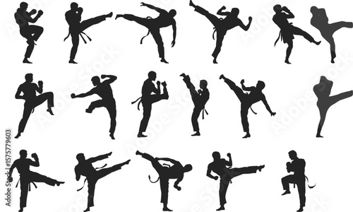 Martial arts silhouette set, karate and kickboxing vector icons, fighter training poses, self defense moves, sport illustration bundle, isolated on white
