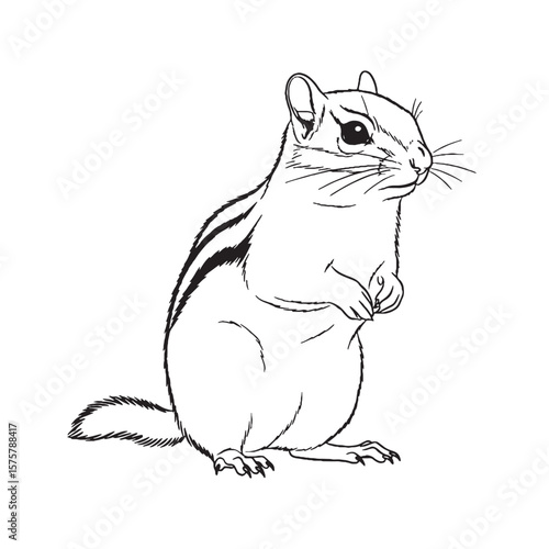 Unleash creativity - with this Artistic Chipmunk Vector - featuring imaginative Chipmunk Lineart for conceptual art - a creative Chipmunk Drawing - an innovative Vector Lineart of Chipmunk.


