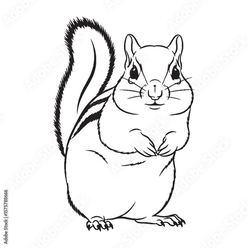 Experience a Classic Chipmunk Vector - complete with authentic Chipmunk Lineart for traditional designs - an iconic Chipmunk Drawing - the definitive Vector Lineart of Chipmunk asset.

