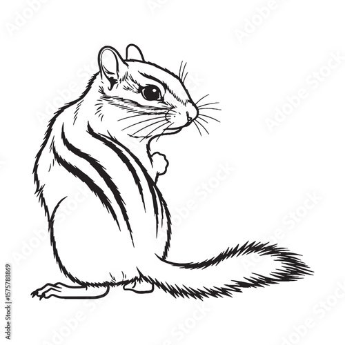 A Lively Forest Chipmunk Vector - displaying bold Chipmunk Lineart for impactful statements - an energetic Chipmunk Drawing - truly remarkable Vector Lineart of Chipmunk.

