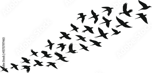 Flock of Silhouetted Birds Flying Diagonally Upward on White Background, Minimalist Design