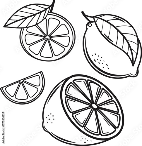 Seamless vector pattern of fresh citrus fruit slices like lemon, lime, and orange, perfect for a healthy food and juice design
