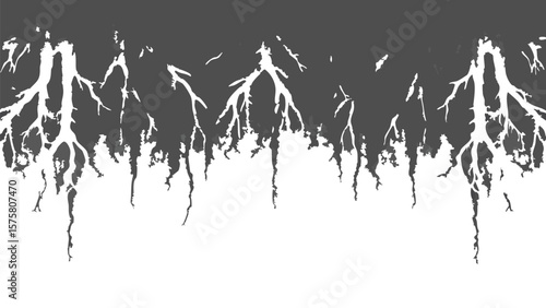 Abstract representation of roots or veins in black and white with a complex branching structure design