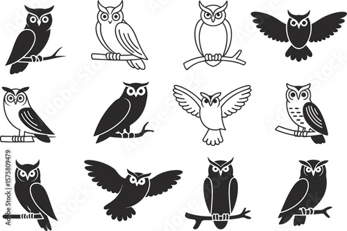 Set of twelve black and white owl icons, various poses and styles, flying and perched on branches, minimalist vector design illustration