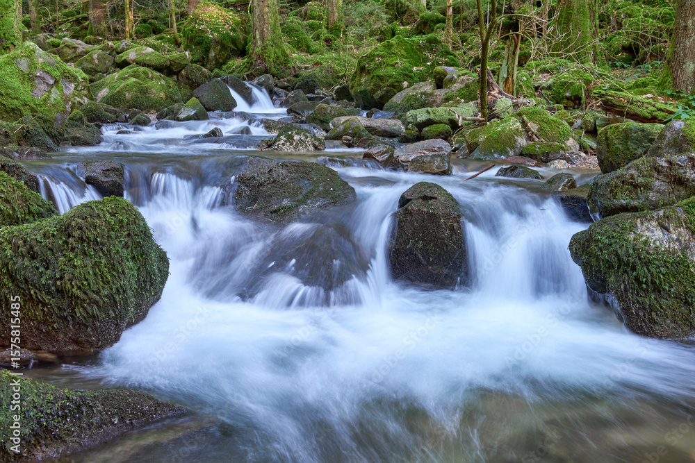 Majestic Allerheiligen Waterfalls: Powerful Cascades Over Mossy Rocks in Black Forest National Park's Pristine Wilderness Majestic Allerheiligen Waterfalls: Powerful Cascades Over Mossy Rocks in Black Forest National Park's Pristine Wilderness