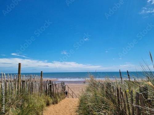 wooden fence on the beach