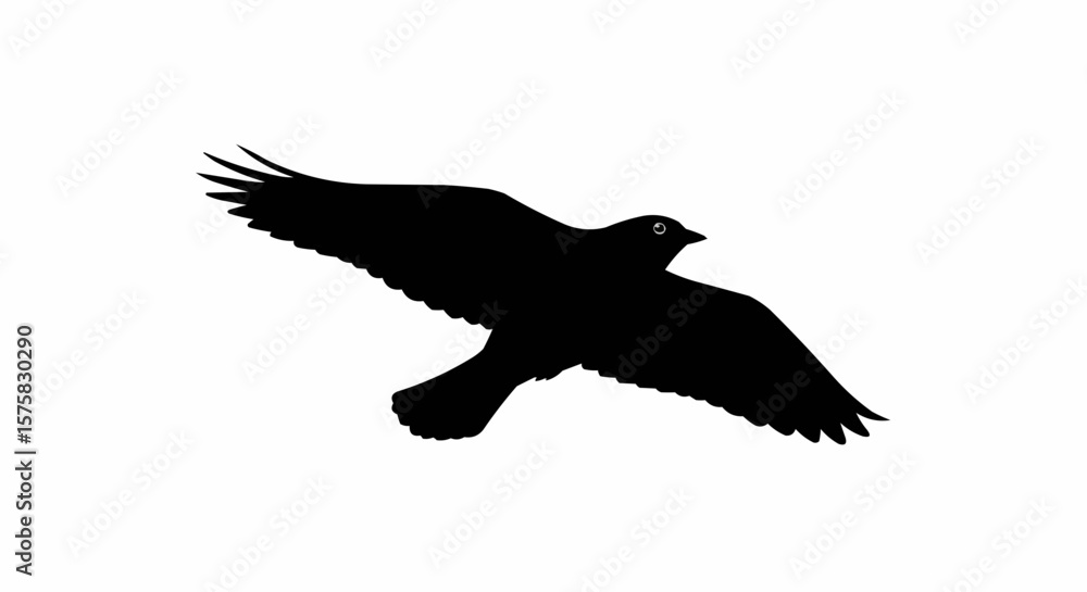 Obraz premium Silhouette of Bird in Flight – Soaring Winged Animal Vector on White Background