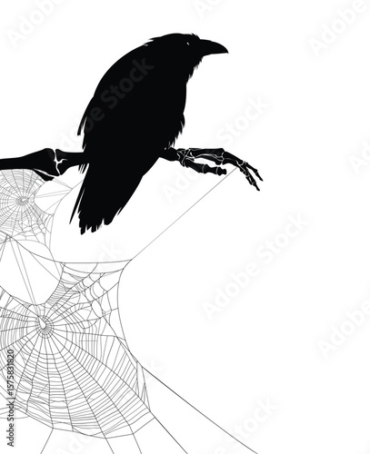mysterious raven bird sitting on stretched aside human skeleton hand with spider web - halloween dark witchcraft black and white vector copy space background design
