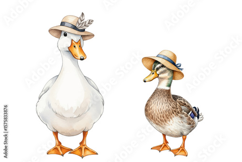 Goose and duck in hats vector illustration. Lady duck and mister goose female and male poultry. Domestic birds.  White goose in fedora-style hat with feather, and cute mallard duck with blue ribbon.