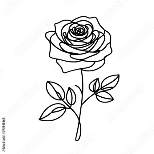 Elegant rose flower art in continuous line drawing style, suitable for minimalist graphic designs or decoration projects needing a touch of natural floral beauty.
