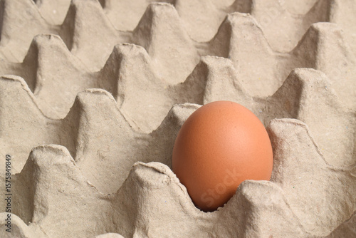 Chicken eggs in cardboard tray. Egg carton, box, tray or container