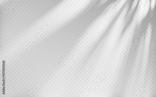 Abstract shadow overlay from tree branch on a transparent background.