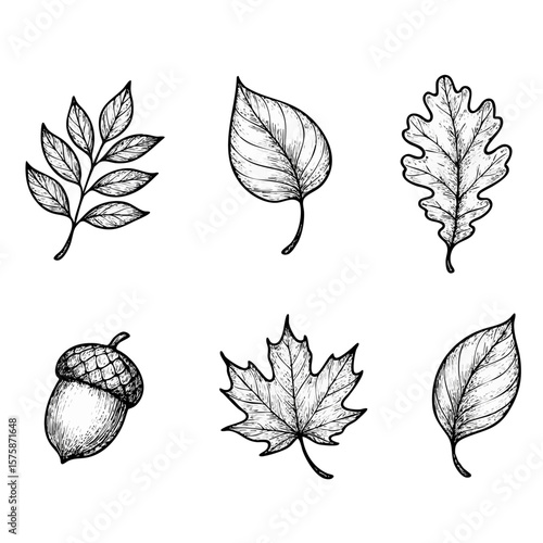 buntes Herbst Sortiment Blätter Icons