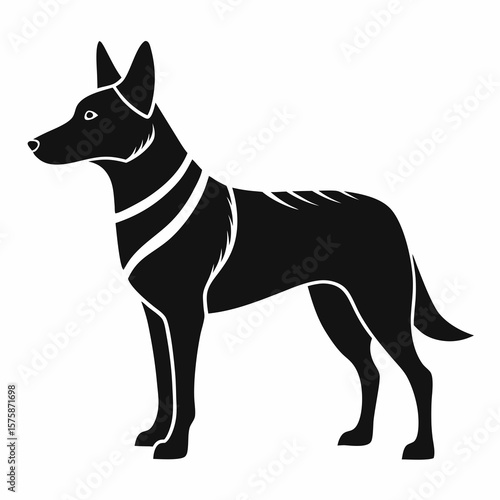Black silhouette of a standing cattle dog with white accents on white background