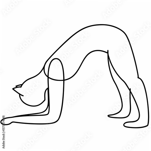 Black outline of a cat in yoga pose on a white background stretching animal