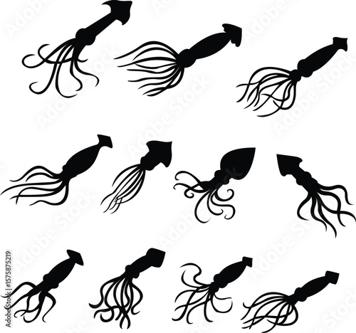 Mysterious Squid Silhouette Underwater Invertebrate Design Marine Life Silhouette Vector