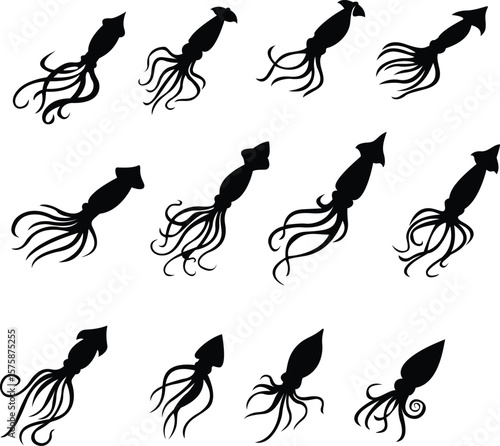 Mysterious Squid Silhouette Underwater Invertebrate Design Marine Life Silhouette Vector