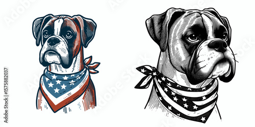 A Boxer Dog wear american flag print bandana. Minimal Vintage Grunge Independence Day 4th of July Patriotic Usa America Retro Clipart. Canine in banner neckwear doggy country.