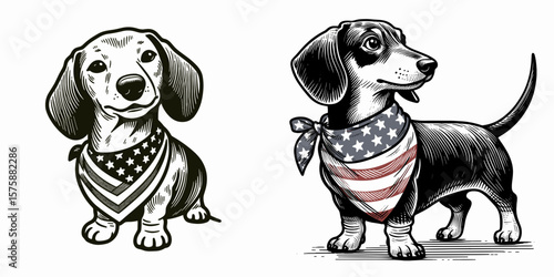 A Dachshund Dog wear american flag print bandana. Minimal Vintage Grunge Independence Day 4th of July Patriotic Usa America Retro Clipart. Cute wiener with neckwear banner pattern kerchief.