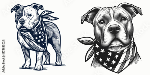 A Pittbulls Dog wear american flag print bandana. Minimal Vintage Grunge Independence Day 4th of July Patriotic Usa America Retro Clipart. Canine in stars and stripes neckerchief national.