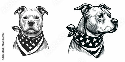 A Pittbulls Dog wear american flag print bandana. Minimal Vintage Grunge Independence Day 4th of July Patriotic Usa America Retro Clipart. Bully breed canine sport neckwear design cloth.