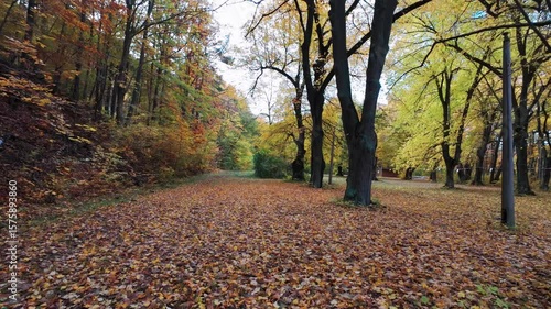 POV shot of a person walking through a forest or a park with brown leaves and sun shining through the foliage
