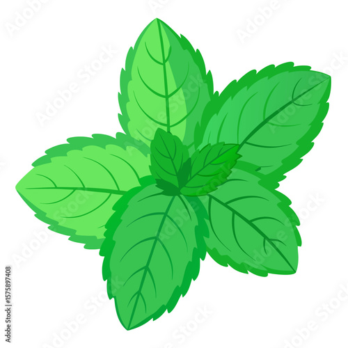 A green leafy plant with a green stem. The leaf is green and has a pointy tip