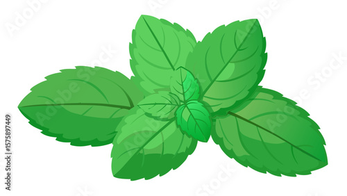 A green leafy plant with a green stem. The leaf is green and has a pointy tip