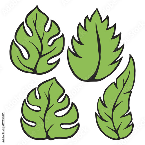 Various green leaves in distinct shapes and sizes