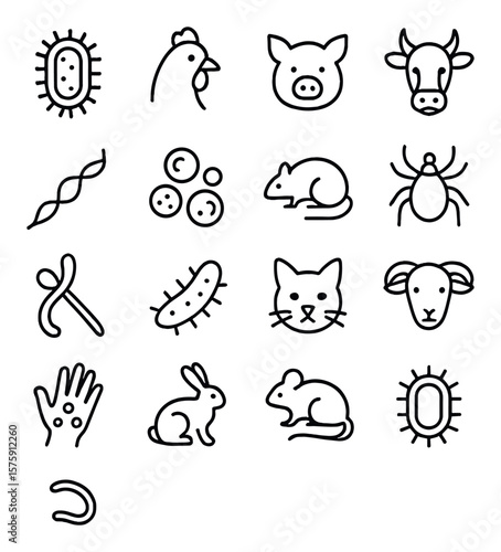 Zoonotic diseases line art icons. rabies virus, avian flu, swine flu, brucellosis, leptospirosis, anthrax, plague, lyme disease, ebola icon, salmonella bacteria, toxoplasmosis, Q